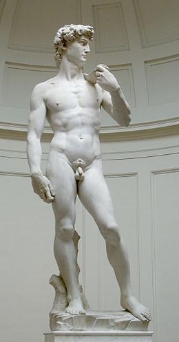 260px-David_von_Michelangelo[1].jpg